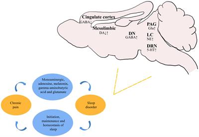 Sleep disorders in chronic pain and its neurochemical mechanisms: a narrative review